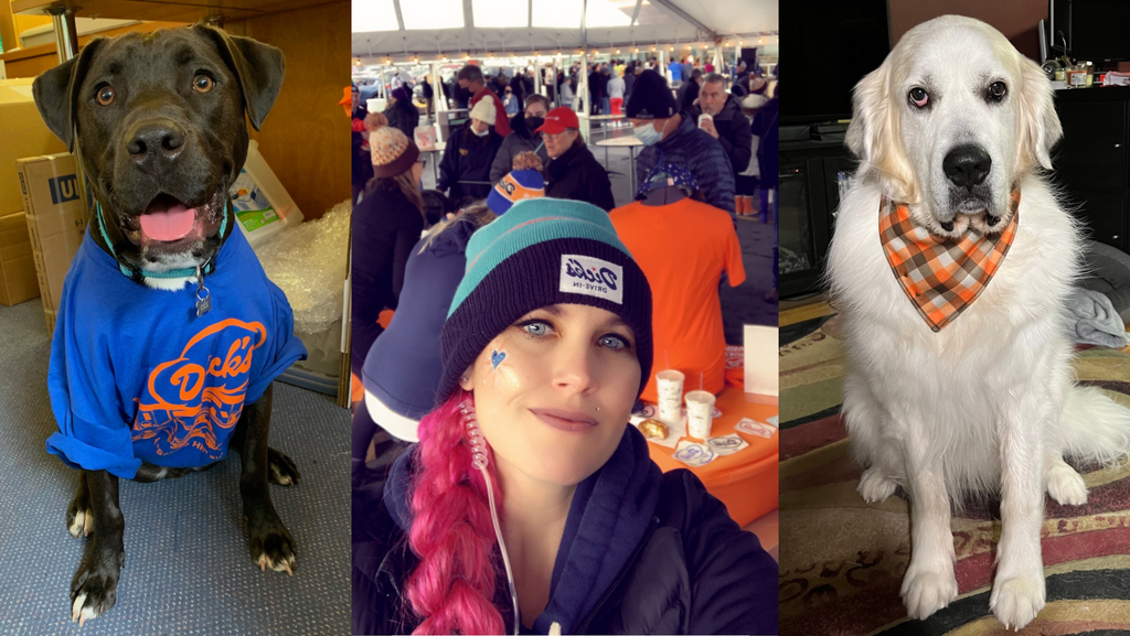 Photo collage of a black dog in a blue/orange tee, a white dog in orange/brown bandana, & a woman w/ pink hair and a beanie