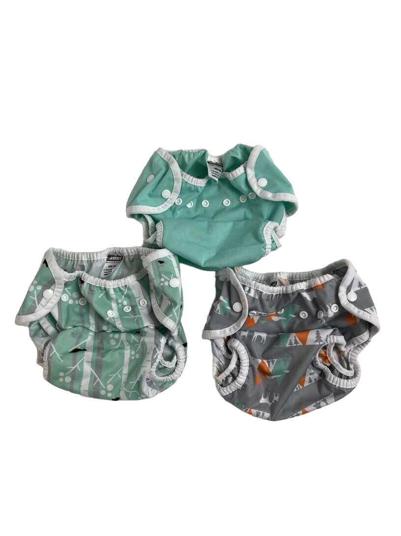 Thirsties All-In-One Cloth Diapers, Size 2