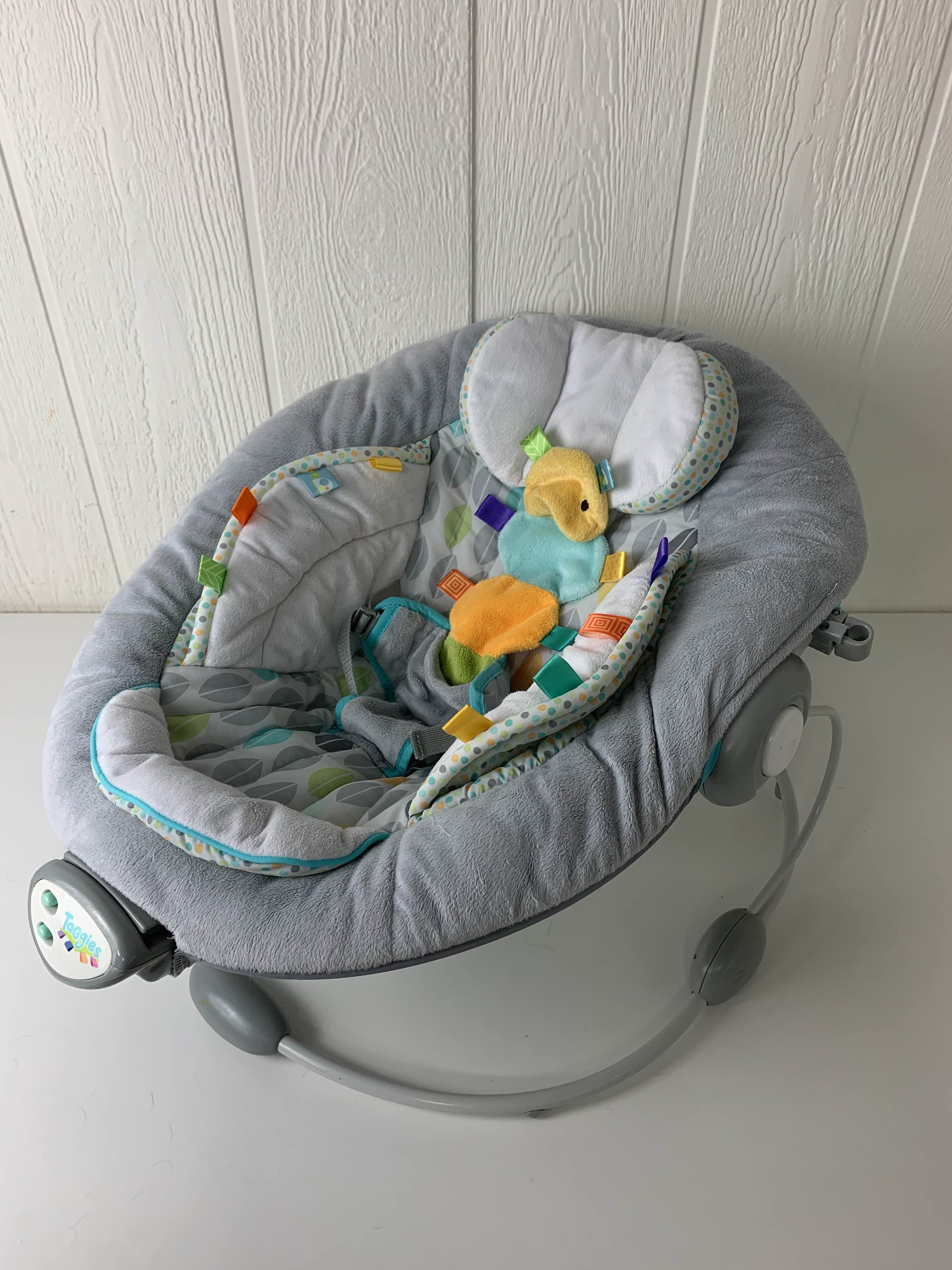 taggies soft n snug bouncer