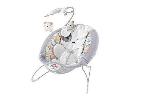 fisher price jonathan adler deluxe bouncer