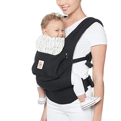 baby carrier insert