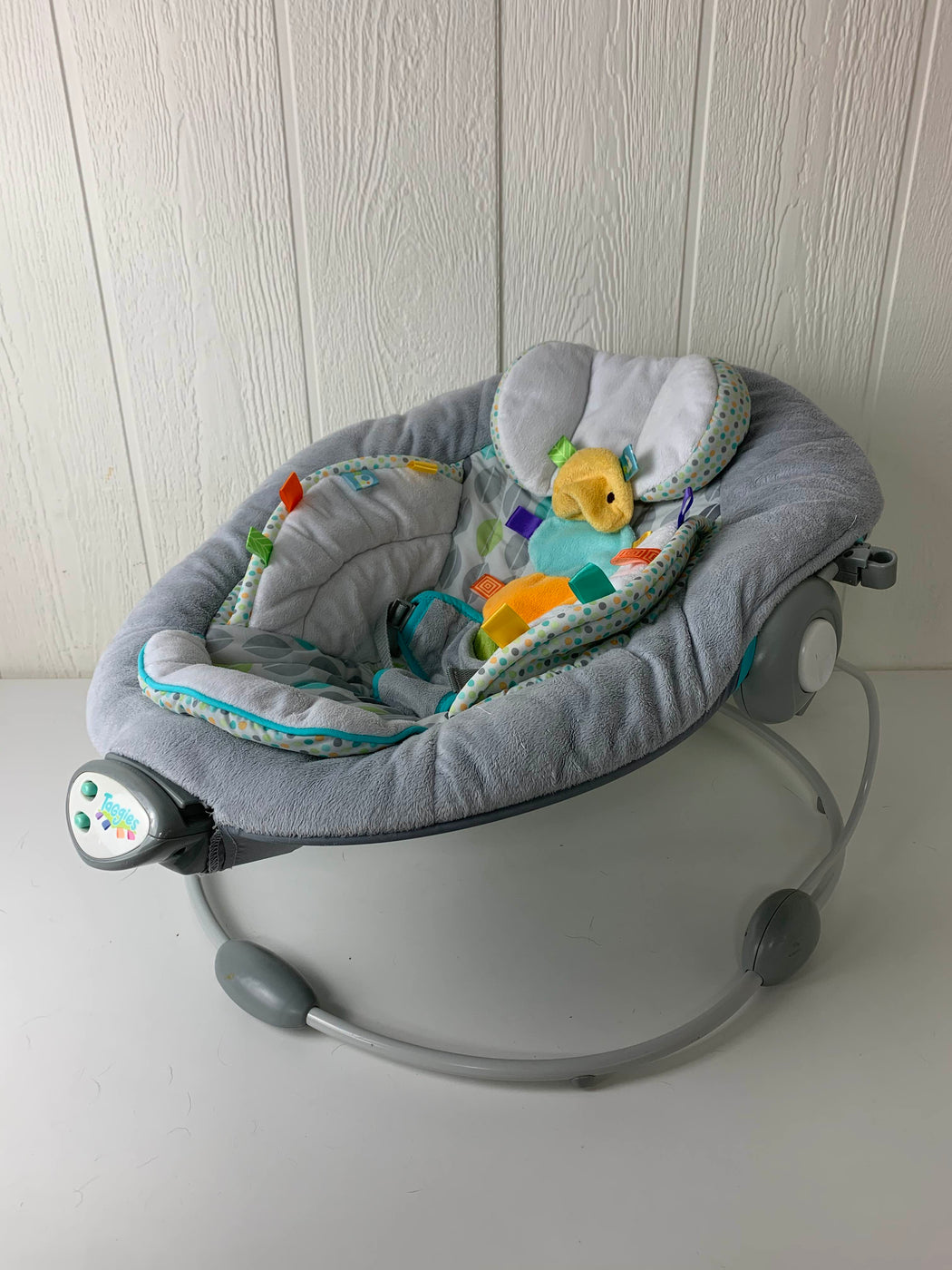 taggies soft n snug bouncer