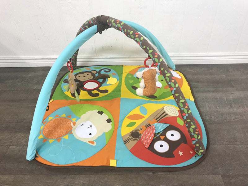 skip hop hug & hide activity gym