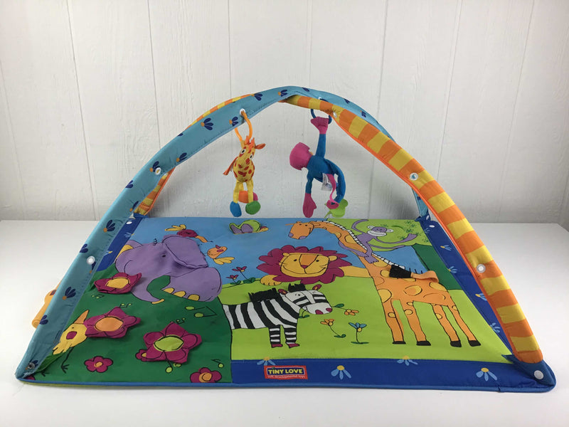 tiny love gymini super deluxe lights and music play mat