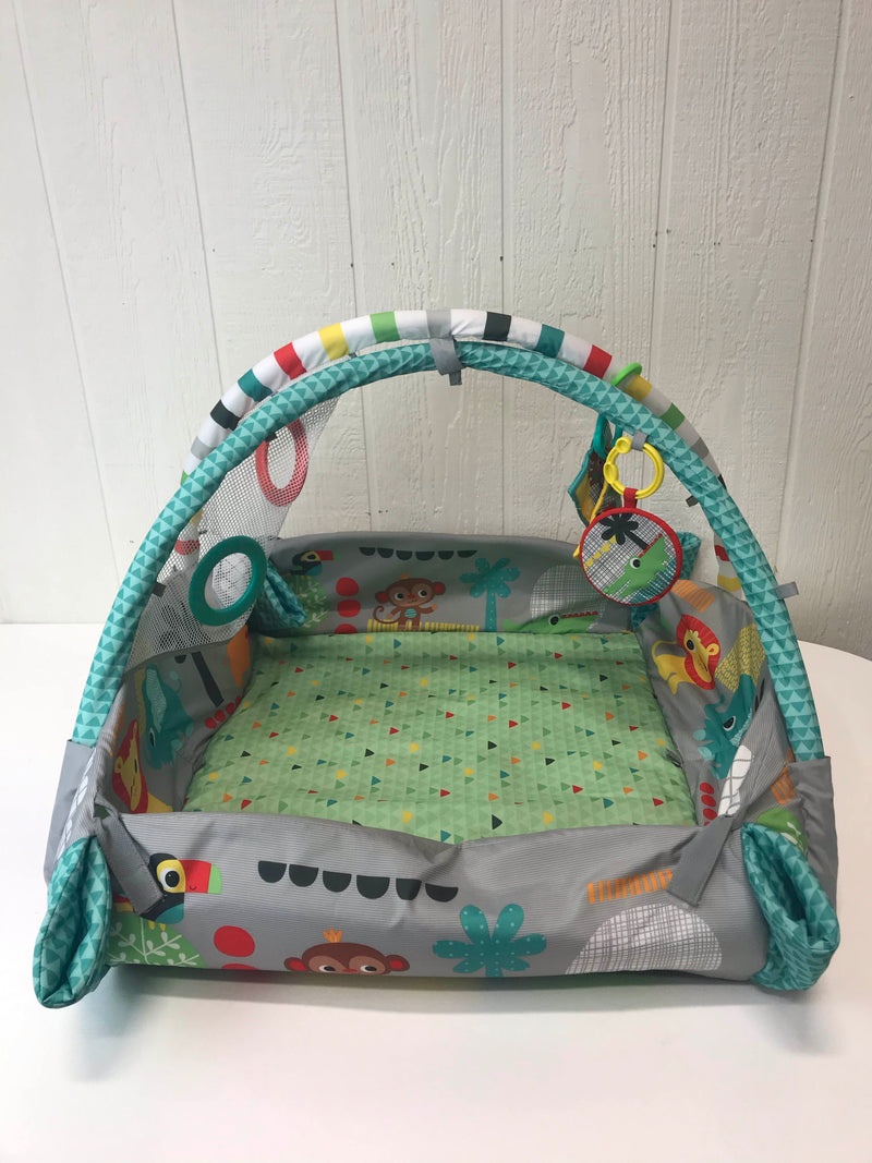 5 in 1 ball play activity gym