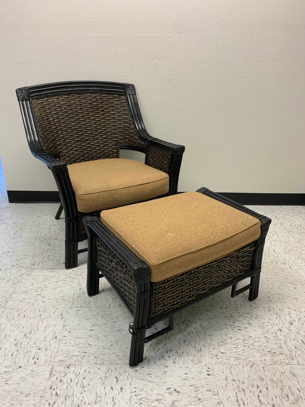 Pier One Wicker Chair And Ottoman