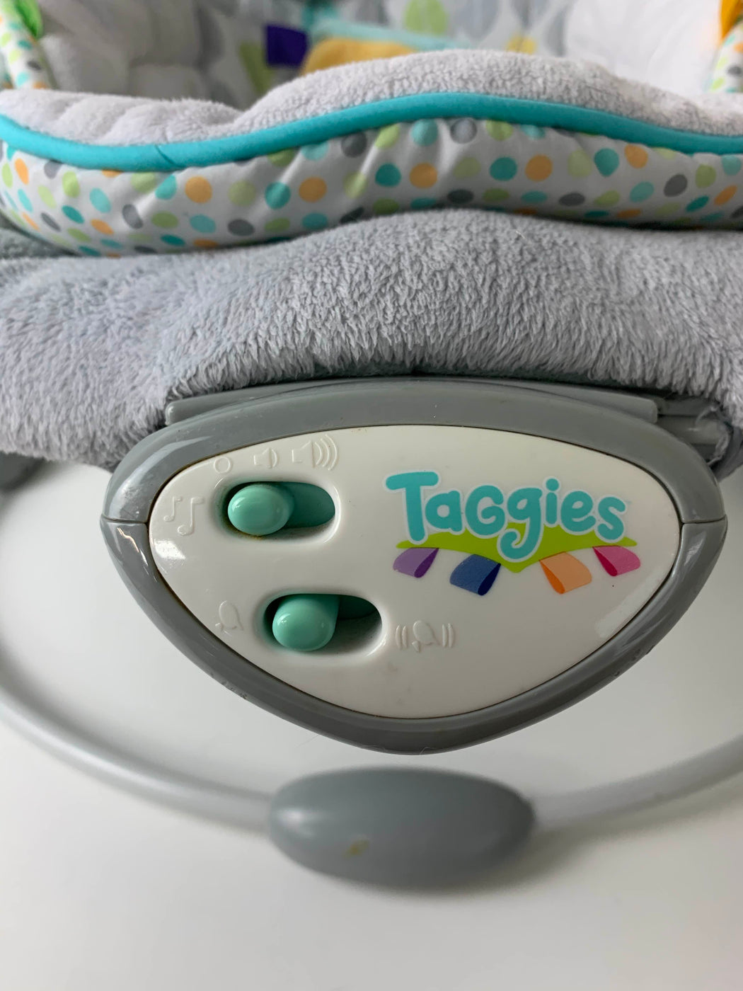 taggies soft n snug bouncer