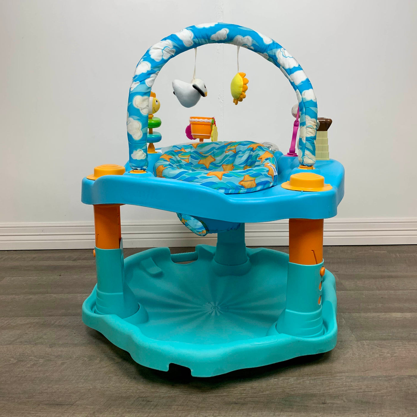 sassy exersaucer