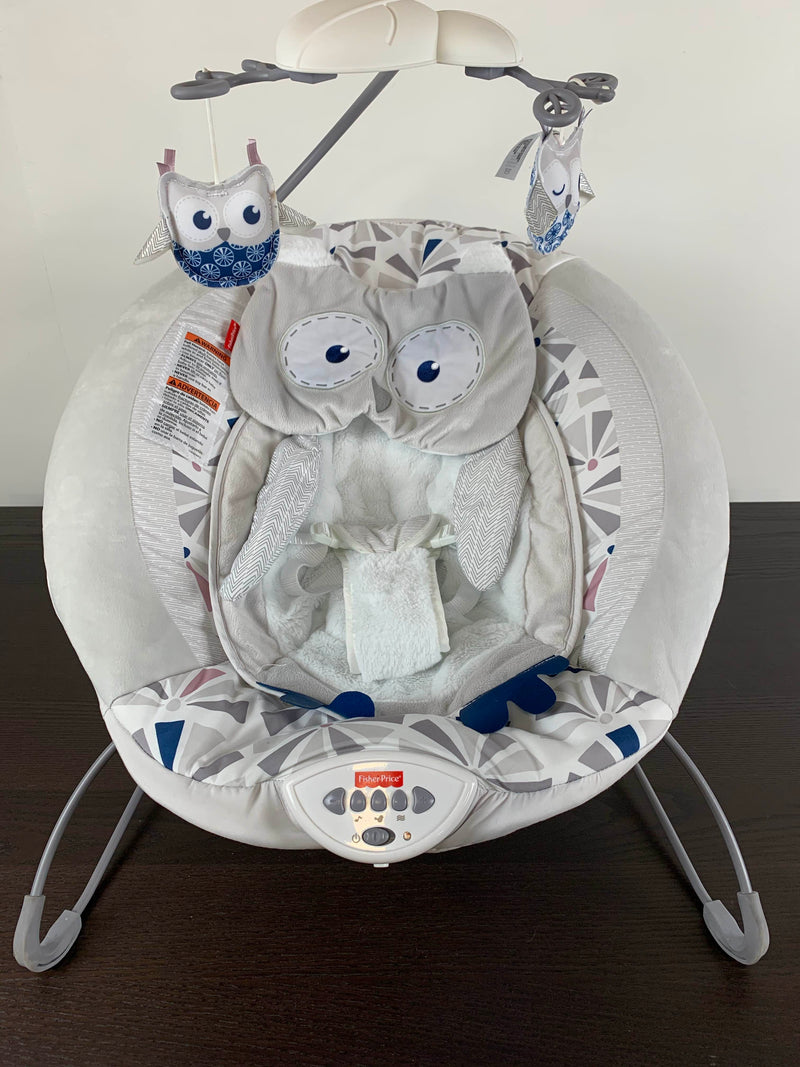 fisher price deluxe bouncer owl