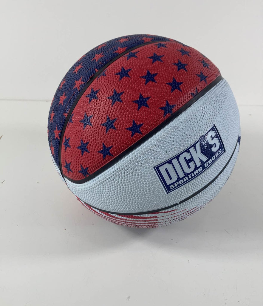 Dicks Sporting Goods Mini Basketball