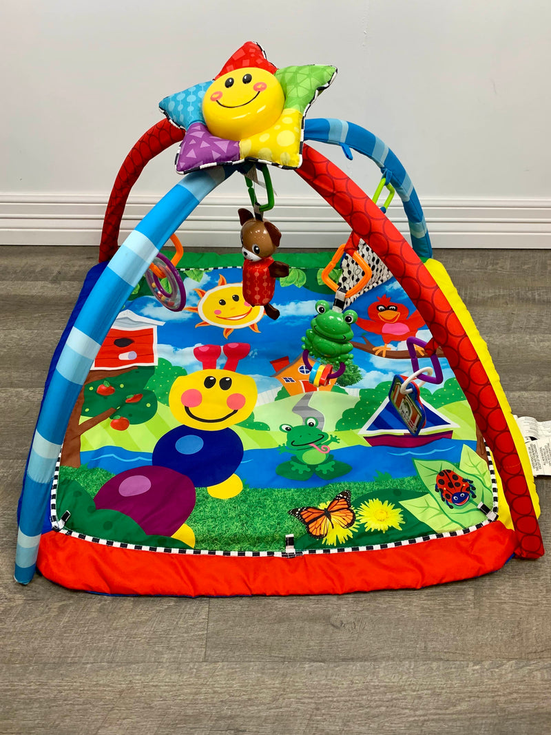 animal friends play mat