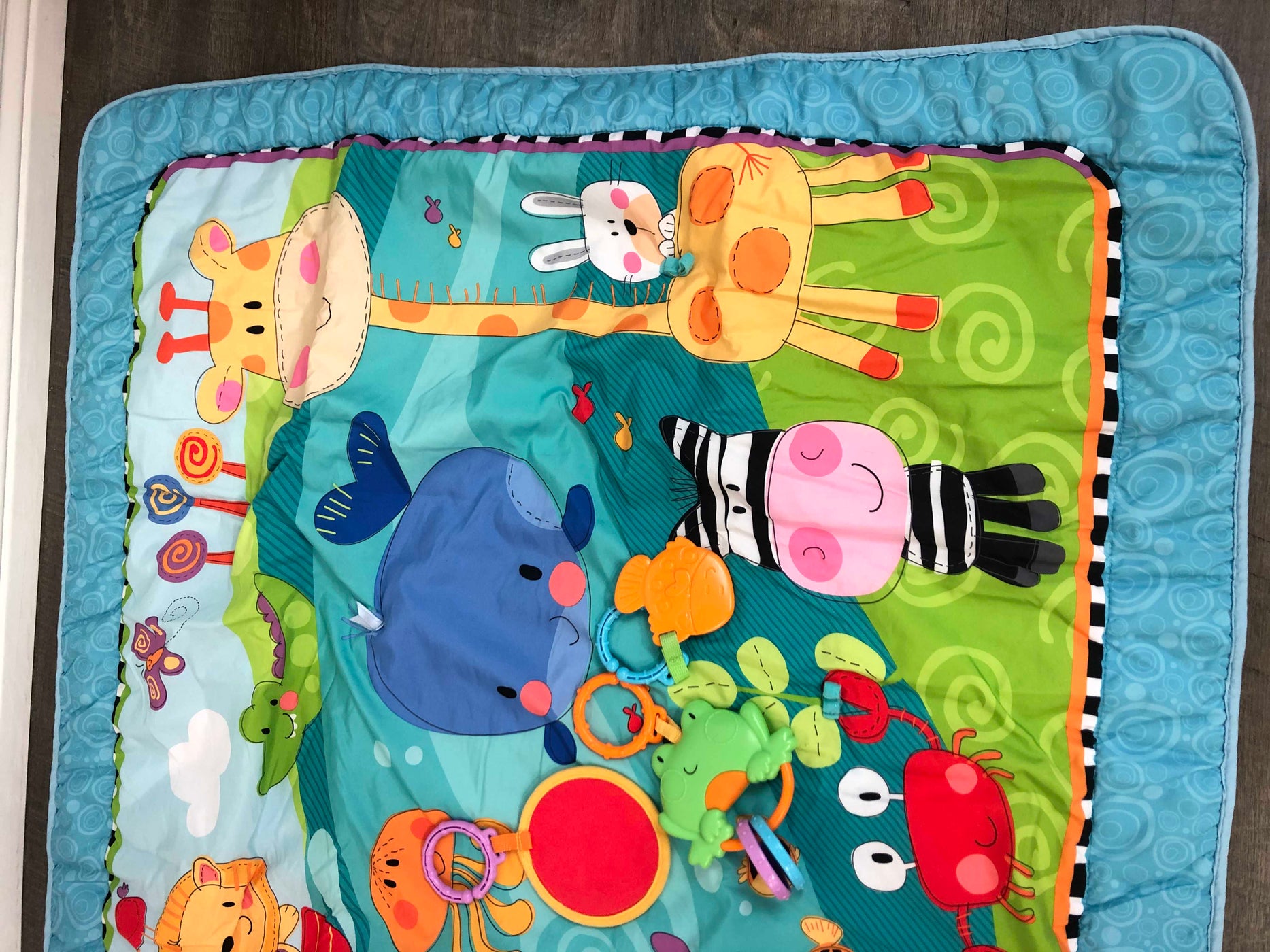 Fisher Price Discover N Grow Play Mat