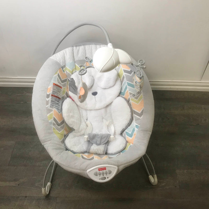 fisher price snugapuppy bouncer