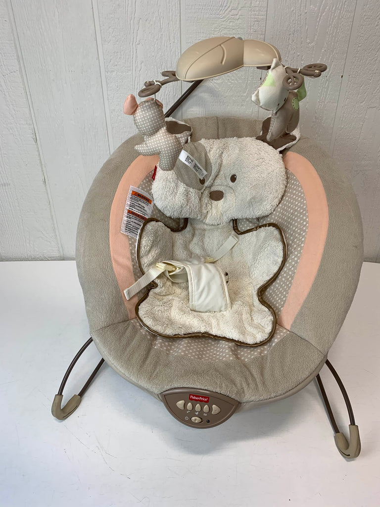 fisher price snugapuppy bouncer