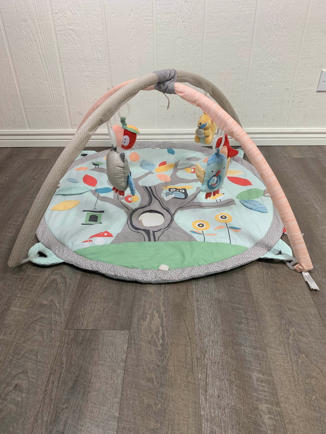 Skip Hop Activity Gym Playmat