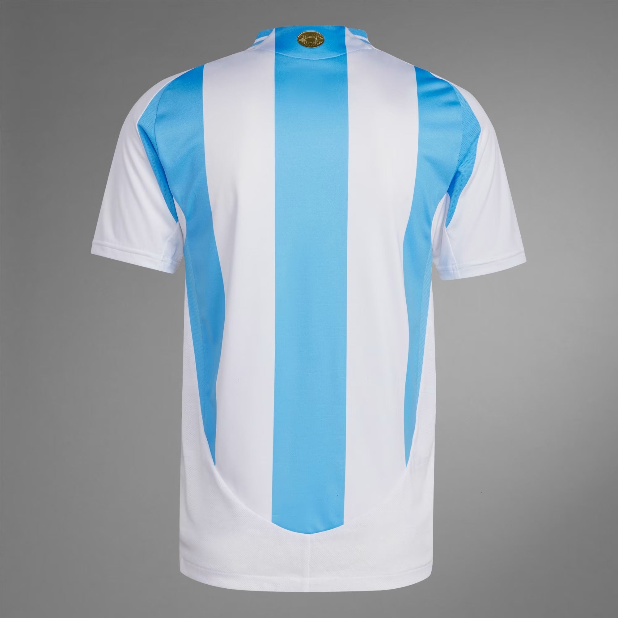 Argentina 2024 Authentic Home Jersey