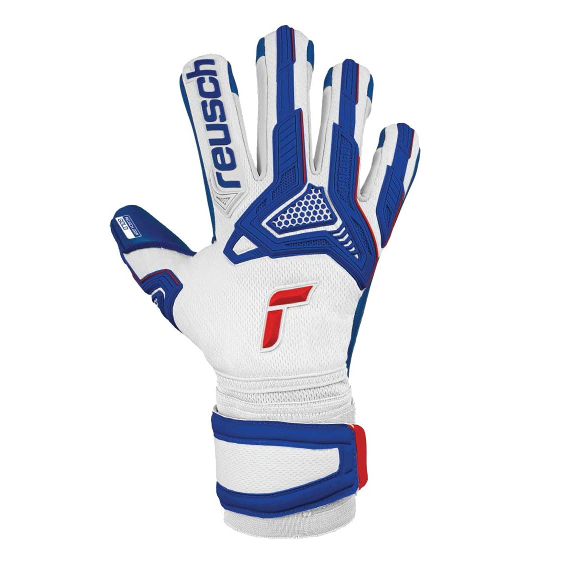 Attrakt Freegel Gold Sleek FS [White/Blue]