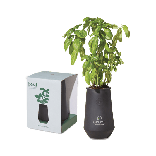 https://cdn.shopify.com/s/files/1/1540/3055/products/black-basil-custom-modern-sprout-tapered-tumblr-grow-kit-leisure-29559584358488_533x.png?v=1682619173