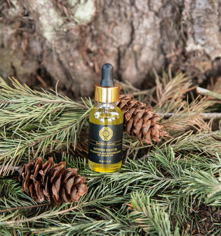 superfood facial oil with watercress by sacred mama organics in front of a douglas fir tree sitting on pine leaves with pinecones