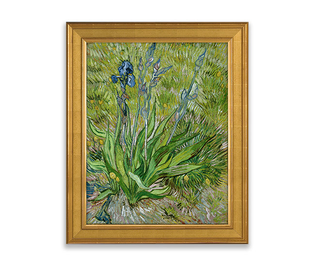 Van Gogh Iris Textured 3D Reproduction