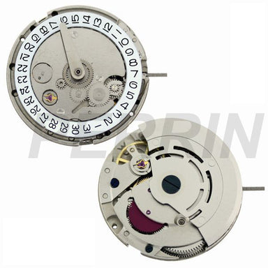DG3806-3D Chinese Automatic Watch Movement — PERRIN