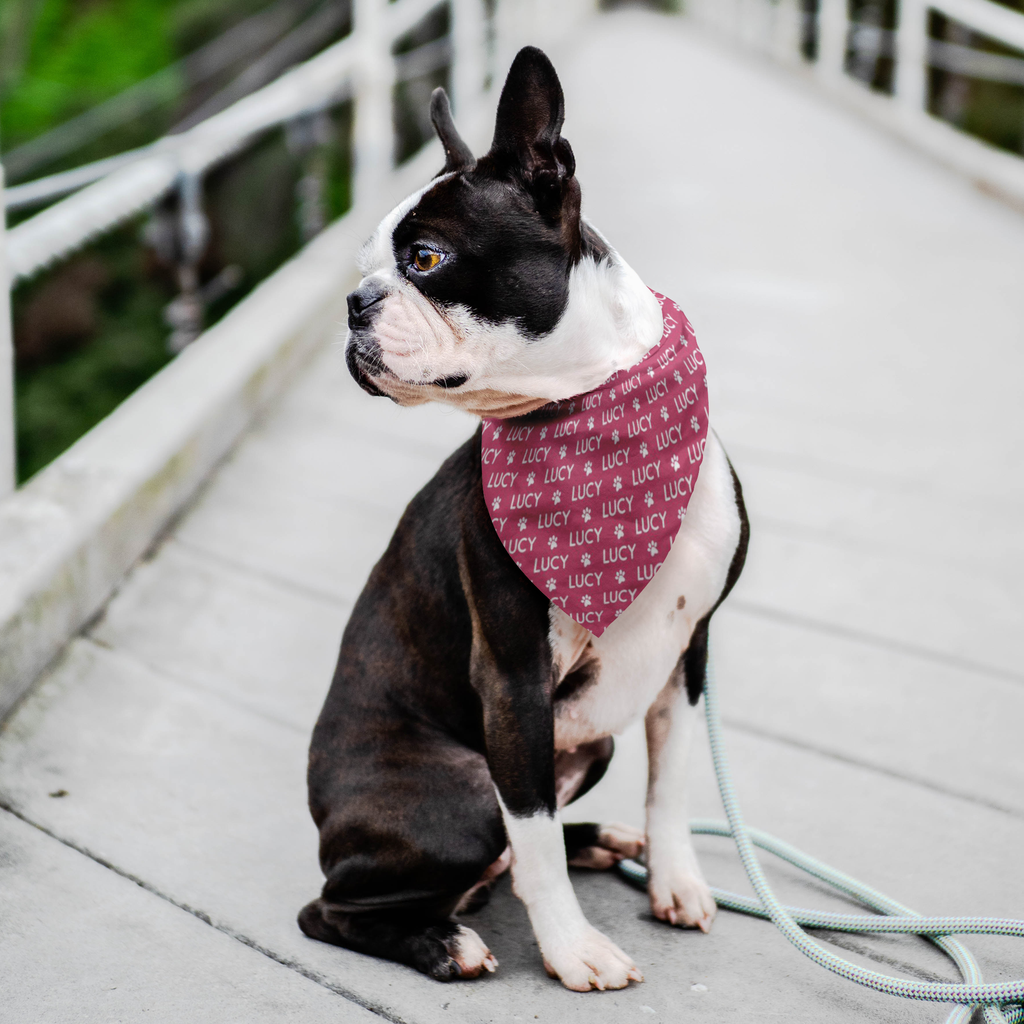 dog bandana with name