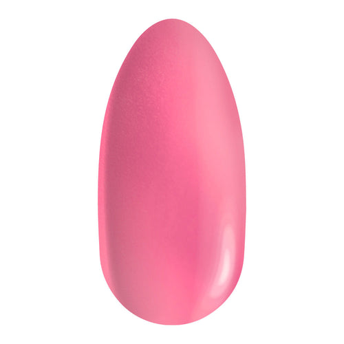 Hot Pink Single Sponge - All Over Shaper