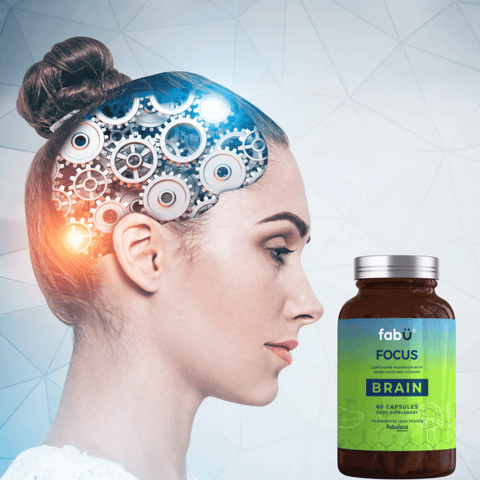 fabÜ FOCUS BRAIN