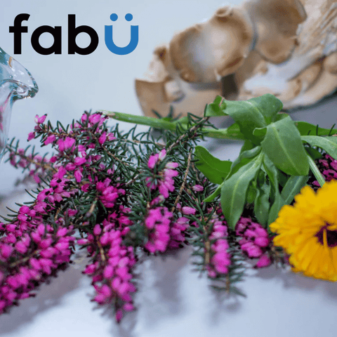 Nutritional supplements that optimise wellness fabÜ’s active ingredients are precisely tailored and formulated for your specific needs.