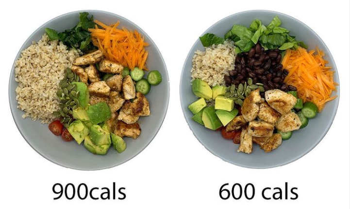 calorie plate comparison