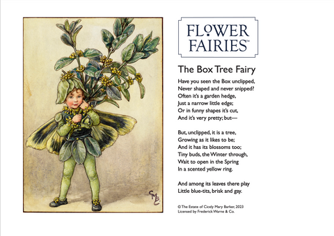 Flower Fairies Box Tree Fairy Poem