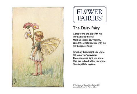 Official Flower Fairies Daisy Fairy Poem