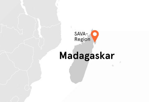 Direkt vom Feld Landkarte Madagaskar Vanilleschoten