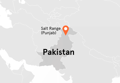 Direkt vom Feld Landkarte Pakistan Himalaya-Salz