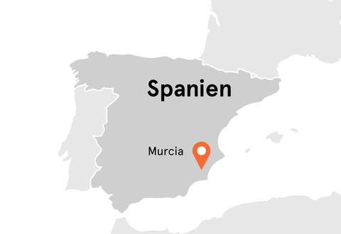 Direkt vom Feld Landkarte Spanien Fenchel