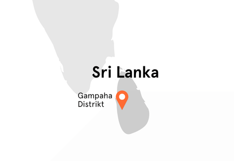 Direkt vom Feld Landkarte Sri Lanka Muskatnuss