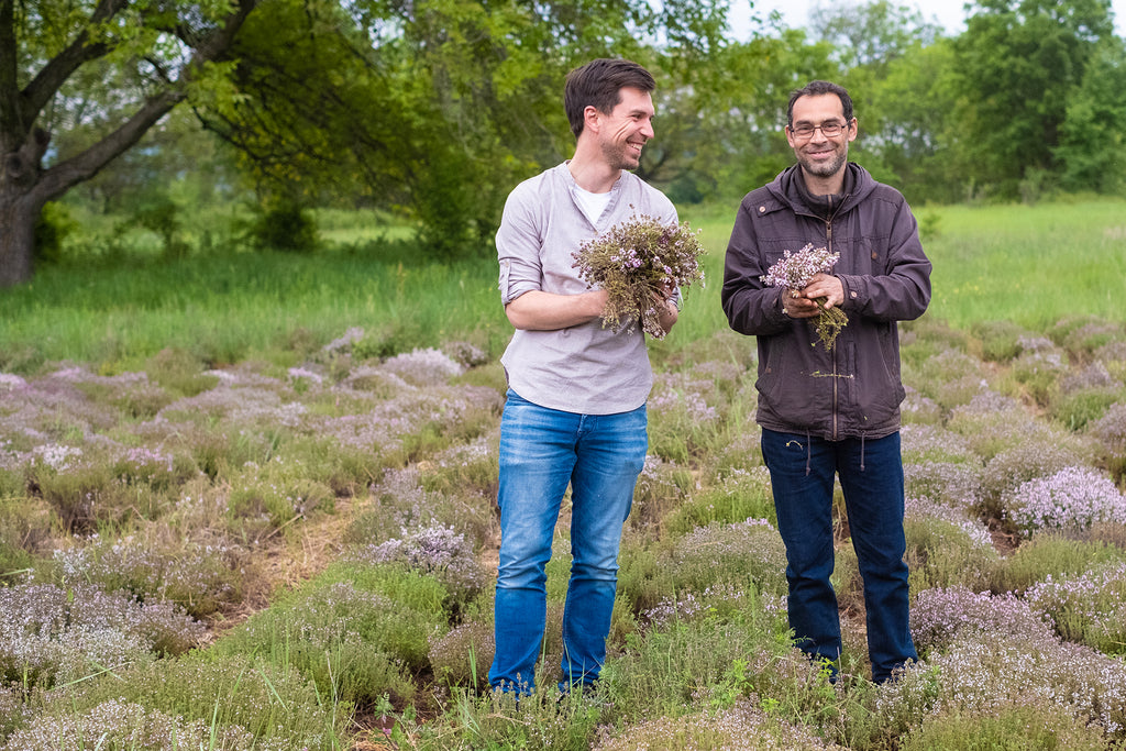 Richard & Ioannis auf dem Thymianfeld in der Nähe von Kozani