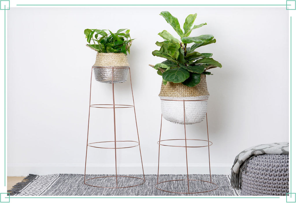 DIY Plant Stand 