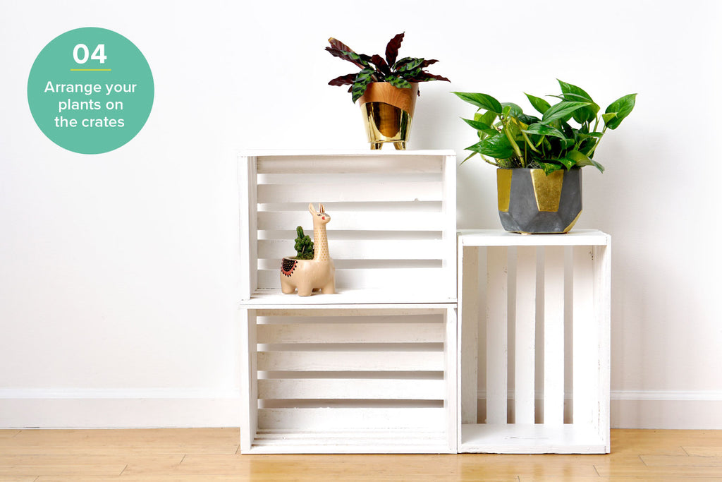 DIY Plant Stand 