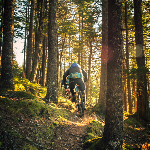 Man biking uphill surrounded by greenery and trees