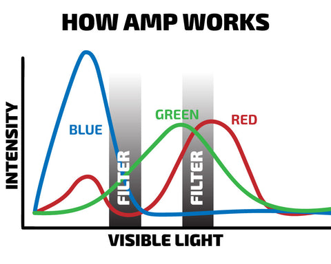 Text: How AMP works Graphic: A chart of blue, red and green light waves. Where the light waves intersect they are filtered out.