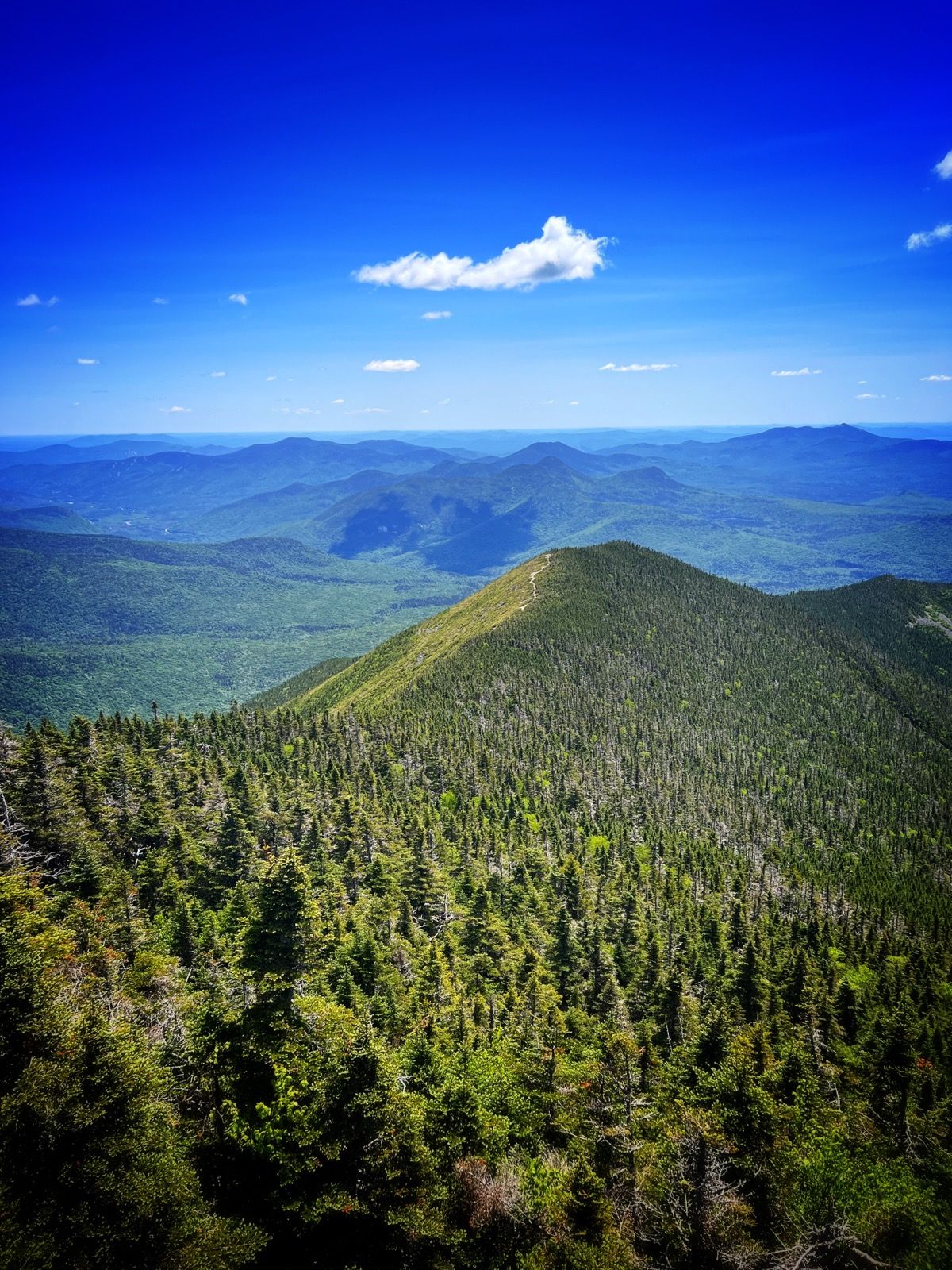 View of Signal Ridge on Mount Carrigain