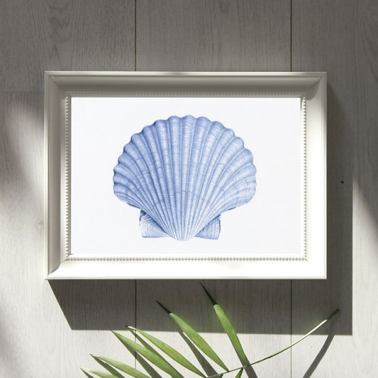 Conch Shell Blue and White Art Print