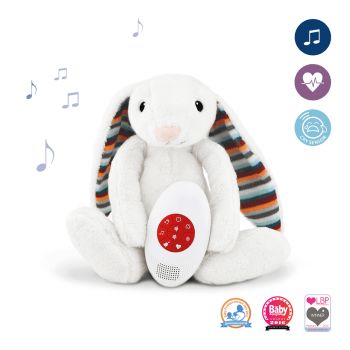 musical soft toys