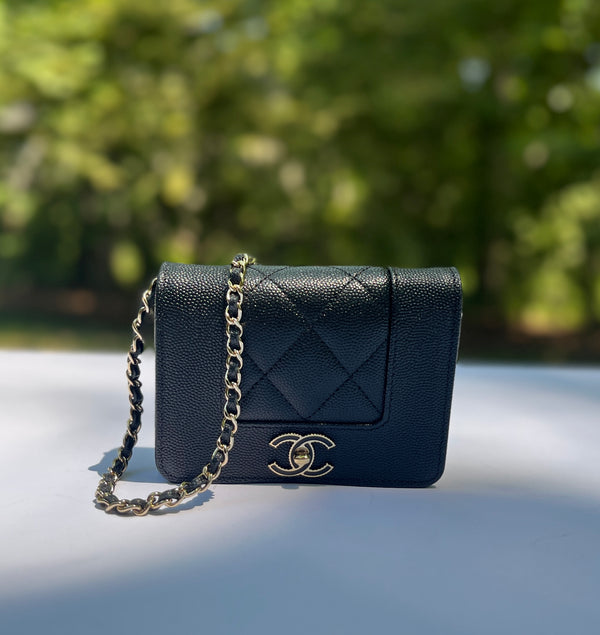 Chanel Python Wallet on Chain WOC in Black – Chicago Consignment