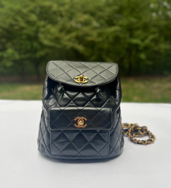 Chanel Python Wallet on Chain WOC in Black – Chicago Consignment
