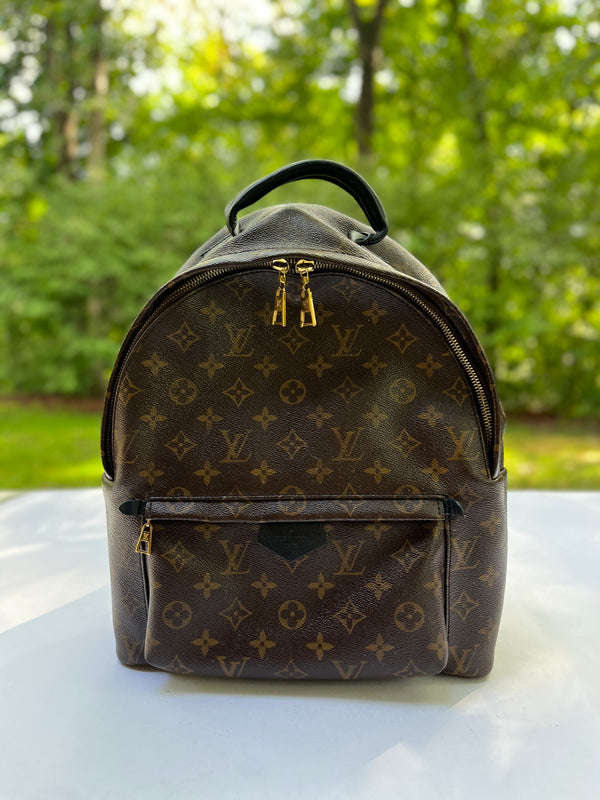 Louis Vuitton Palm Springs Monogram (updated Zipper) mm