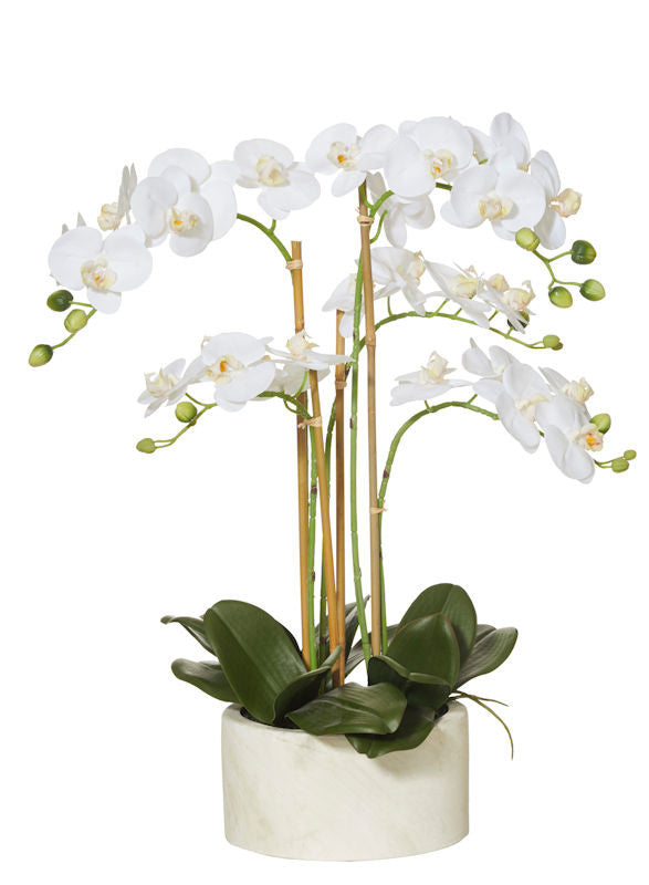 Rogue Artificial Flower Arrangement White Butterfly Orchid Stone Pot 6 ...