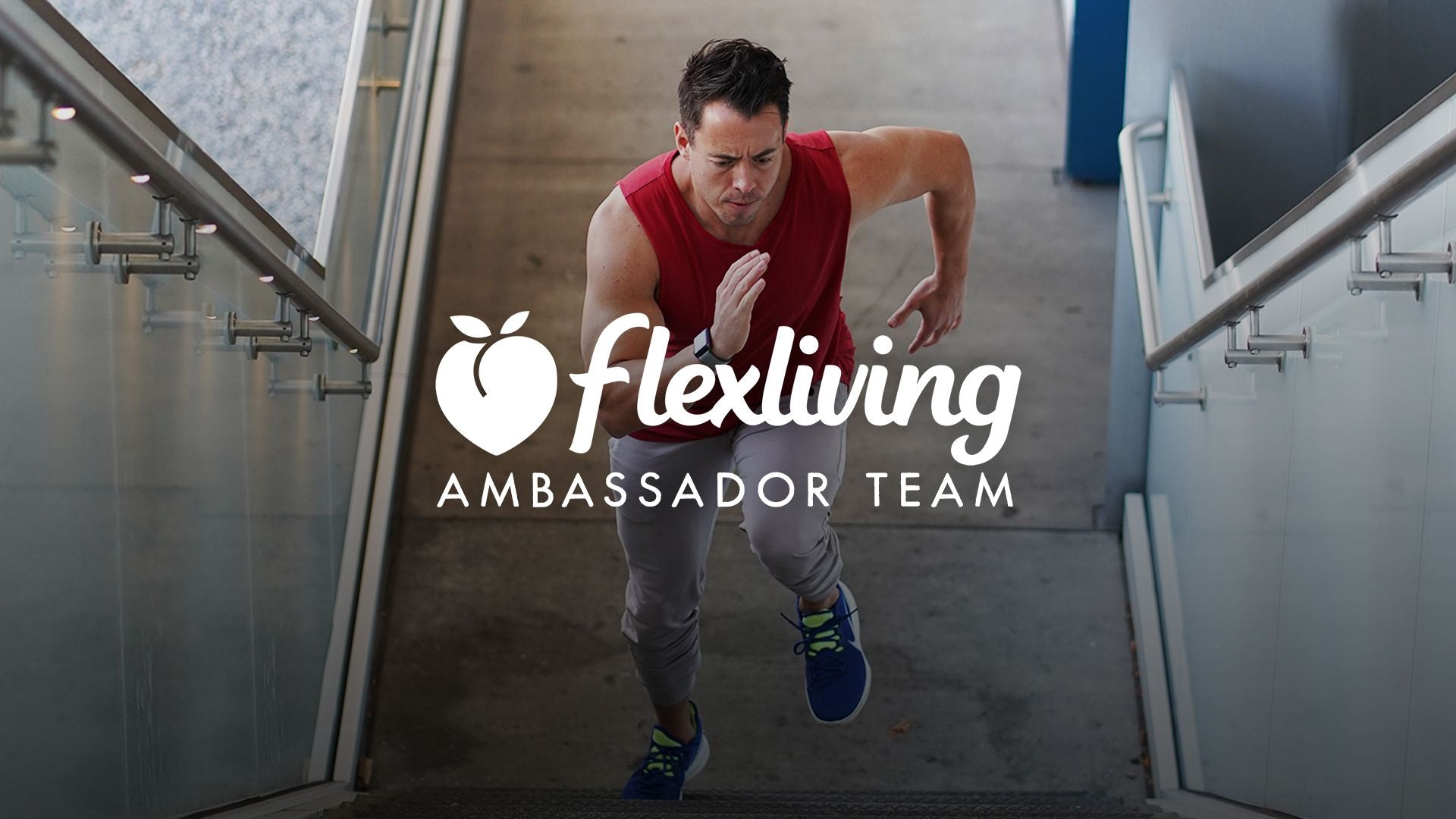 Become An Ambassador