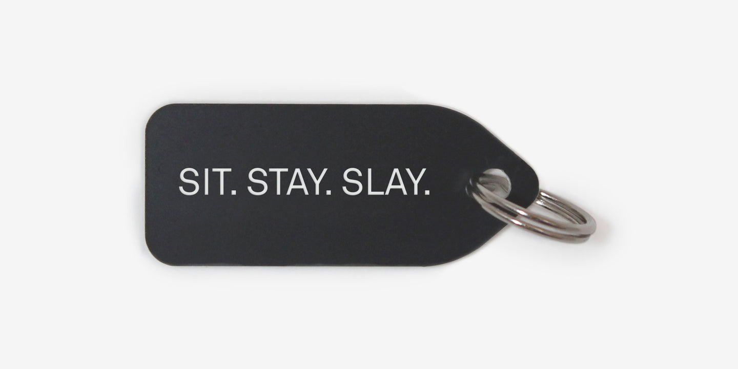 Sit, Stay, Slay by Linda O. Johnston